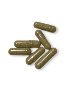 Magic Mushroom Capsules 500mg