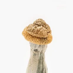 Monster Penis Envy Magic Mushroom - Image 3