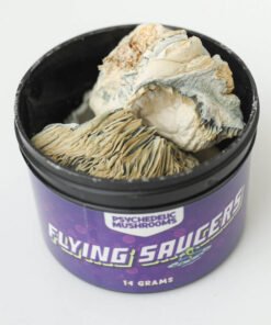 Flying Saucer