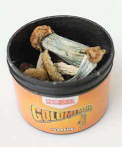 Goldmember Shrooms