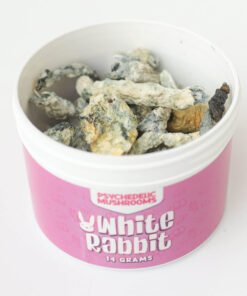 White Rabbit